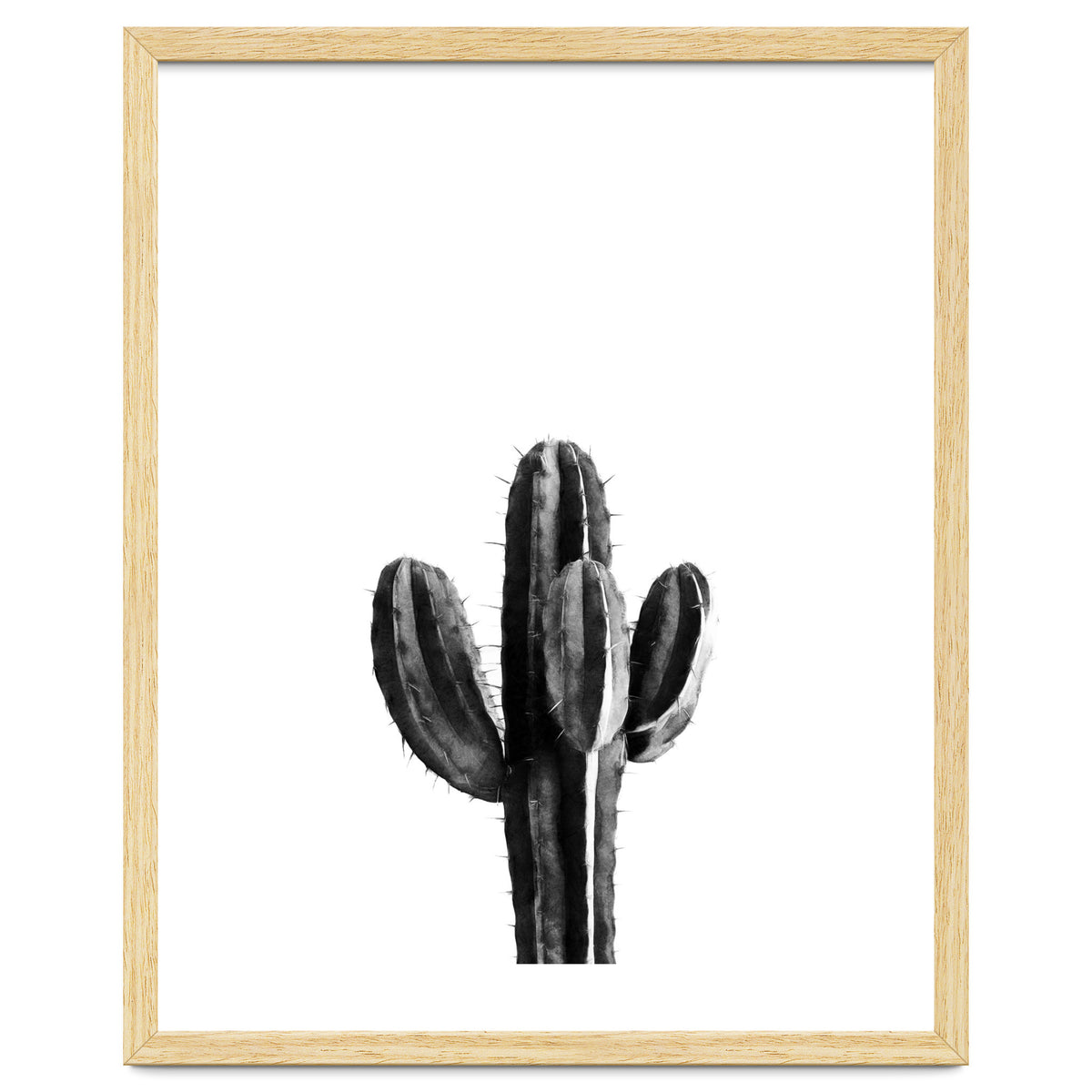Cactus Black And White 03