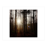 D3 A0 Cf3 E 6509 400 C 926 D 905230 D93 F61 (Print Only) thumbnail
