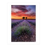 A Place To Dream (Print Only) thumbnail
