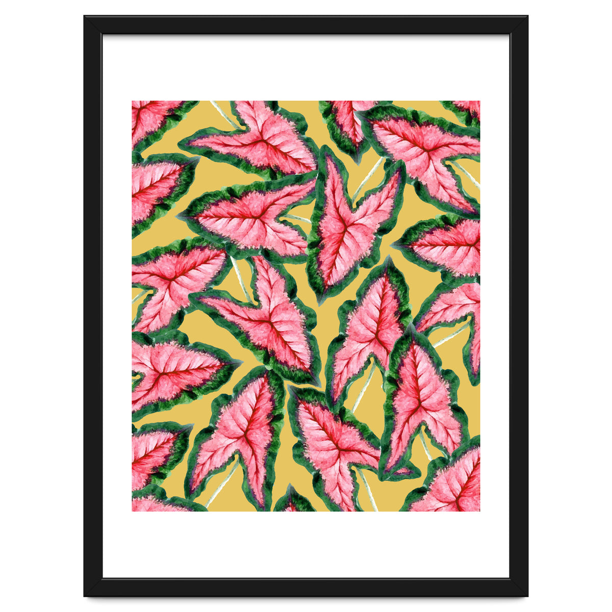 Caladium, Botanical Tropical Nature Plants, Vintage Bohemian Exotic Blush Leaves