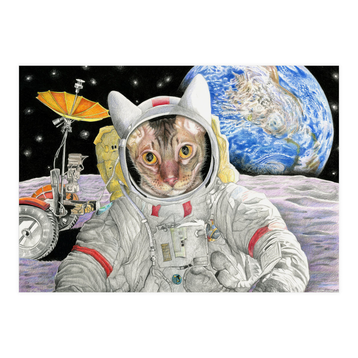 Nasacatadjustcolor (Print Only)