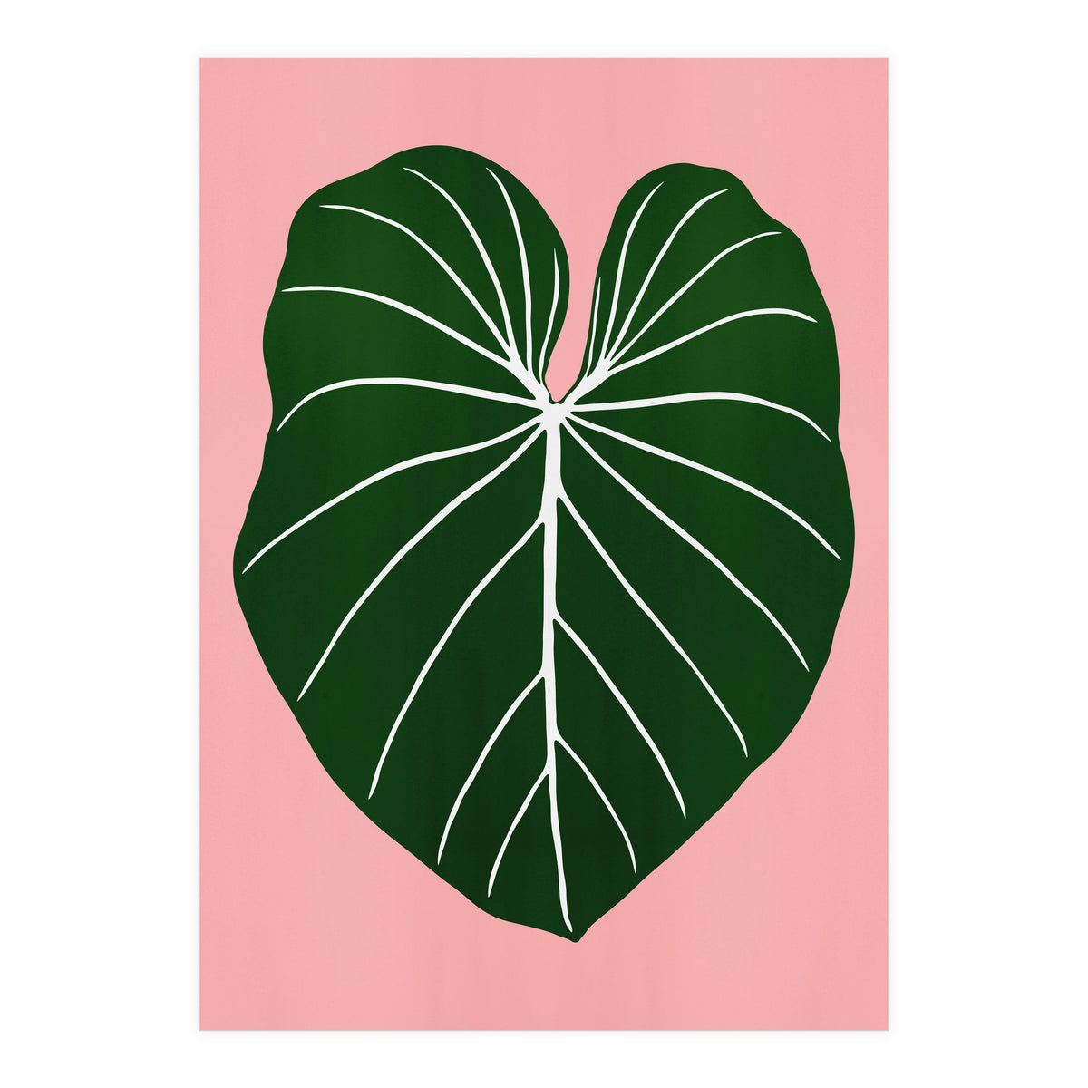 Leaf 05 (Print Only)