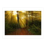 Nature (Print Only) thumbnail