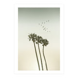 Vintage palm trees at sunset (Print Only) thumbnail