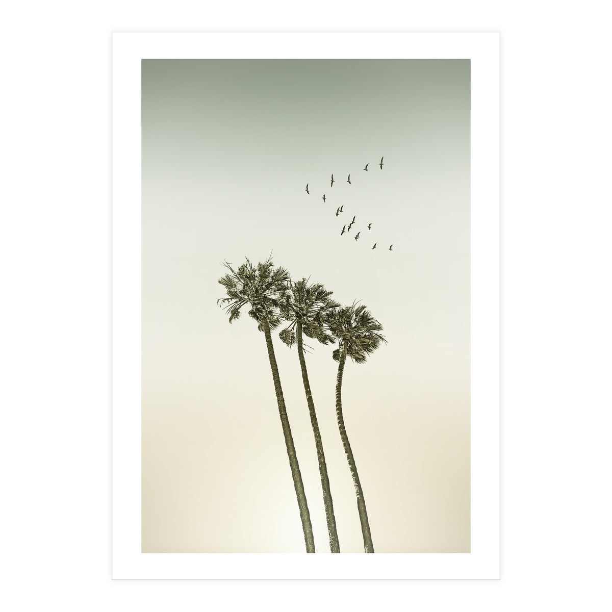 Vintage palm trees at sunset (Print Only)