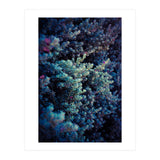 Spring (Print Only) thumbnail