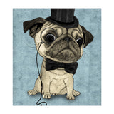 Pug, Gentle Pug (Print Only) thumbnail