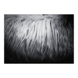 hair (Print Only) thumbnail