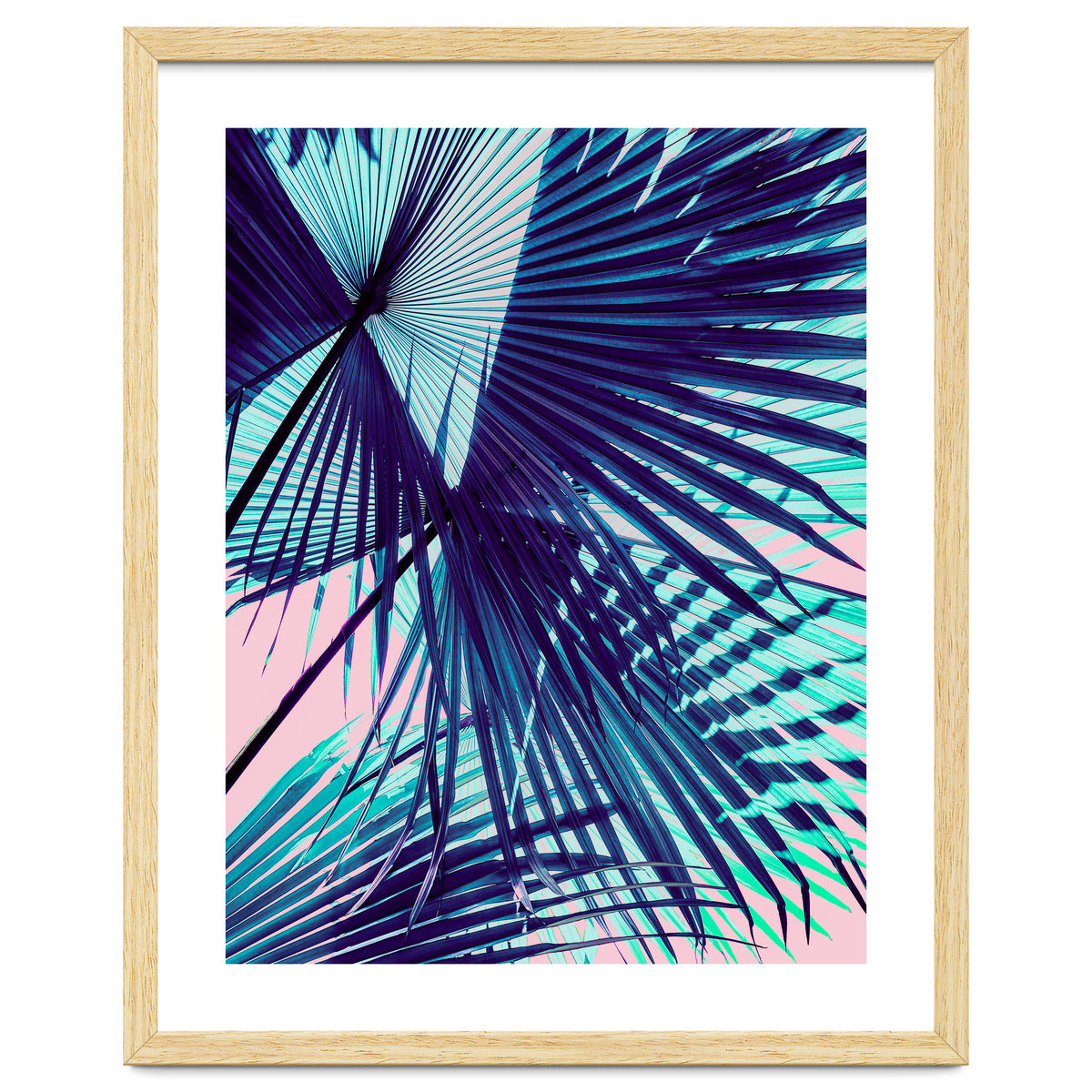 Palm leaf on the beach