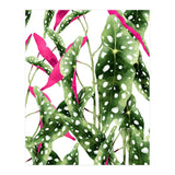 Happiness Is...buying Plants (Print Only) thumbnail