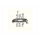 Diplopod David Felix (Print Only) thumbnail