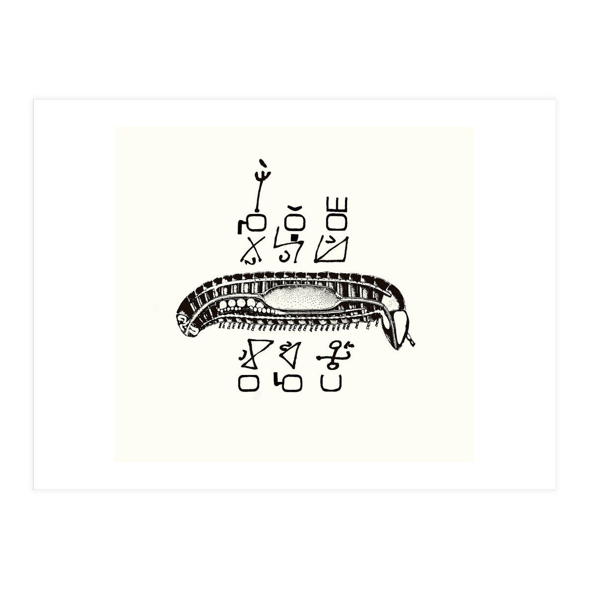 Diplopod David Felix (Print Only)