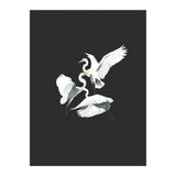Three Heron Waltz (Print Only) thumbnail
