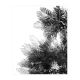 The Tree Top I (Print Only) thumbnail