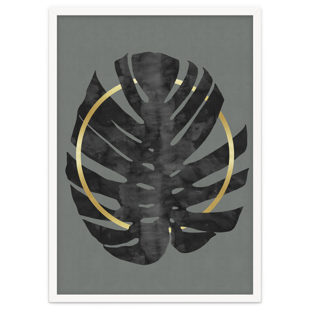 Monstera Deliciosa I