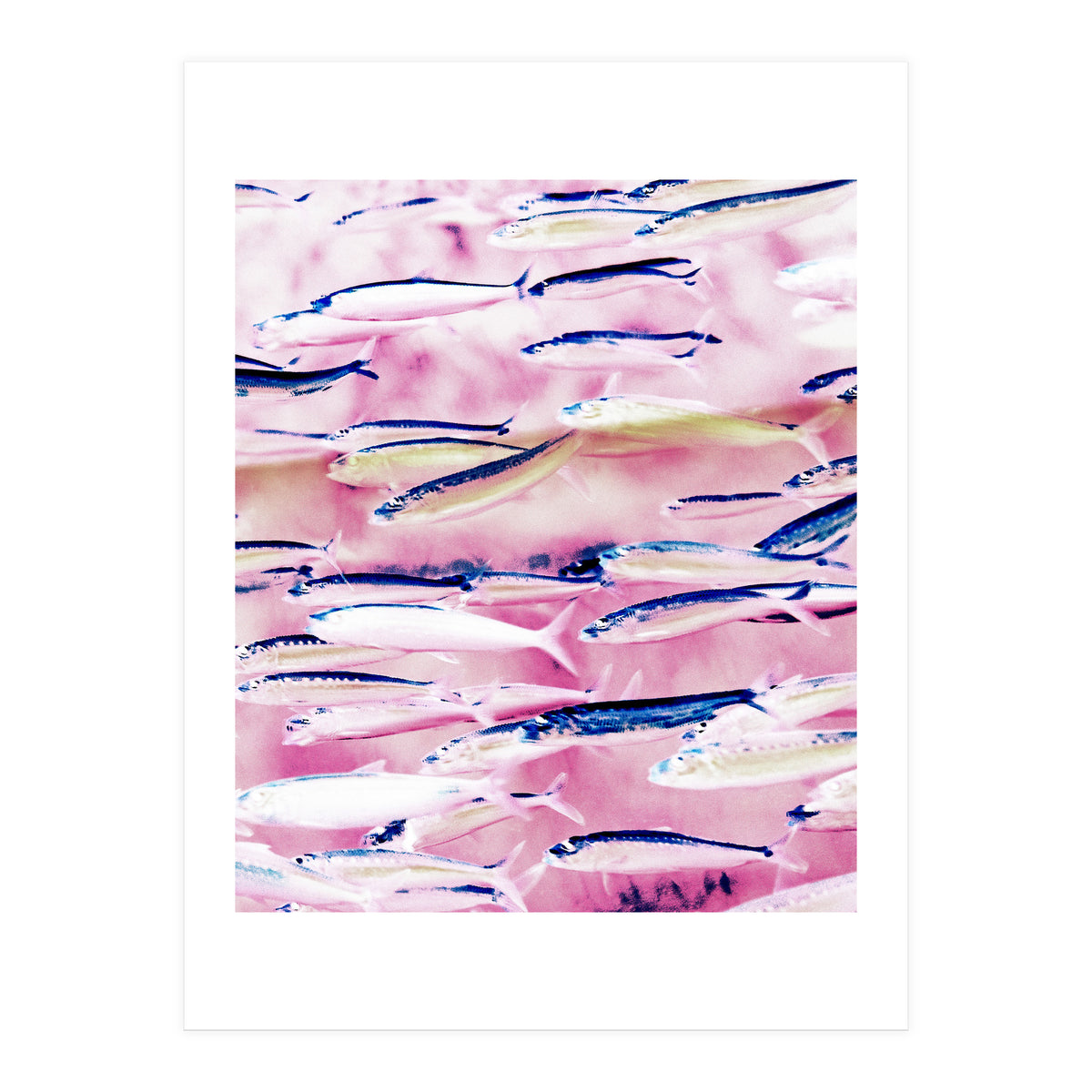 Marked Coast (Print Only)