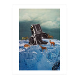 Cameraman (Print Only) thumbnail