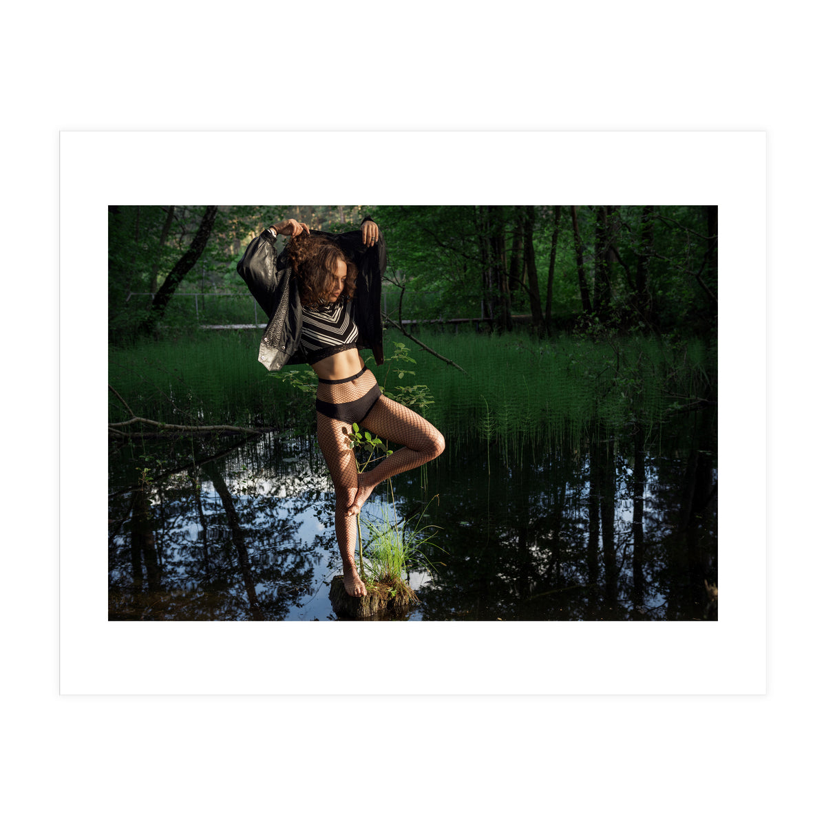 Swamp Swan (Print Only)