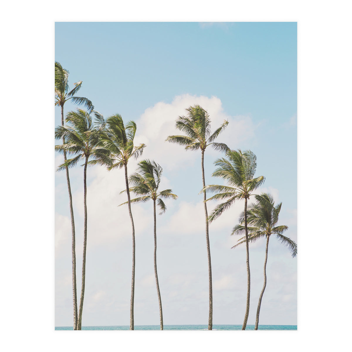 Tropical Palm Trees (Print Only)