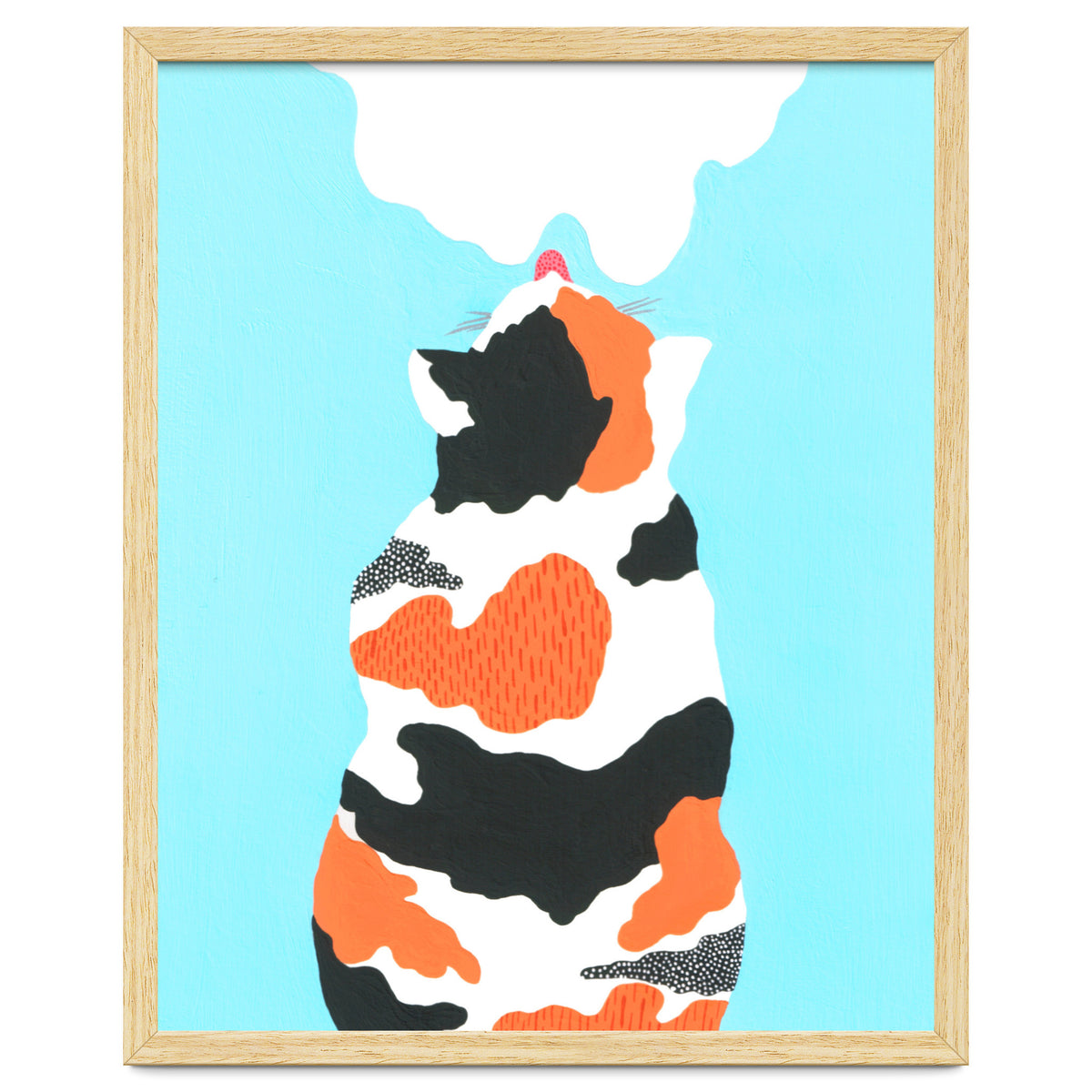 Tri Colored Calico Cat