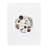 Treasures From Nature No. 2 (Print Only) thumbnail