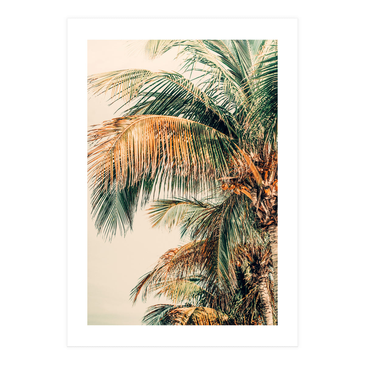 Tropic Summer  (Print Only)