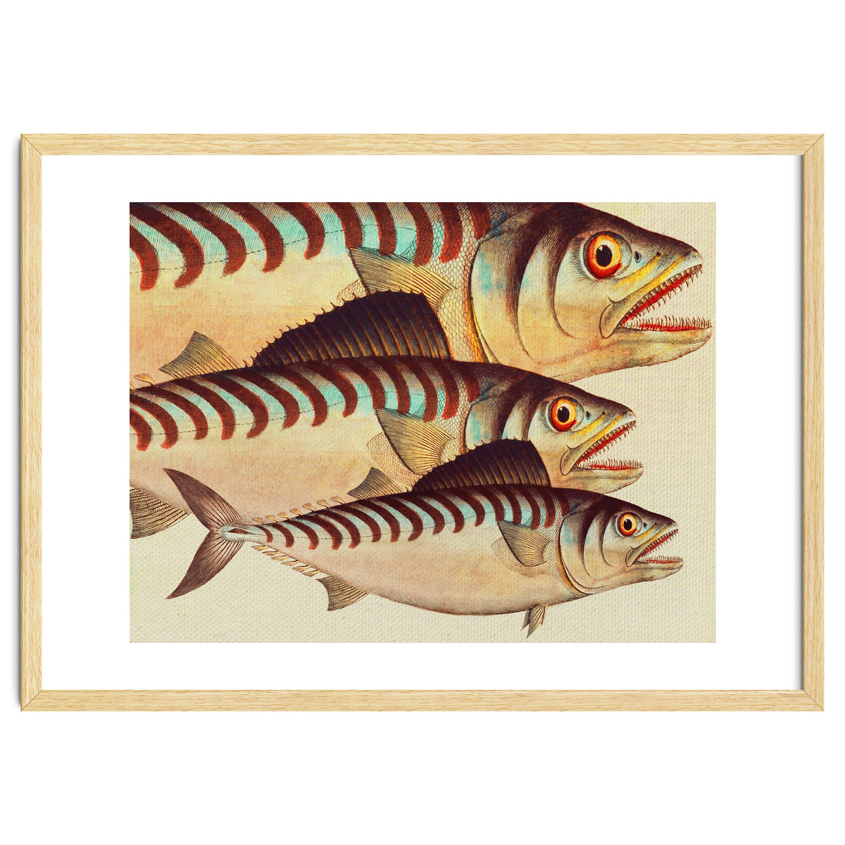 Fish Classic Designs 8