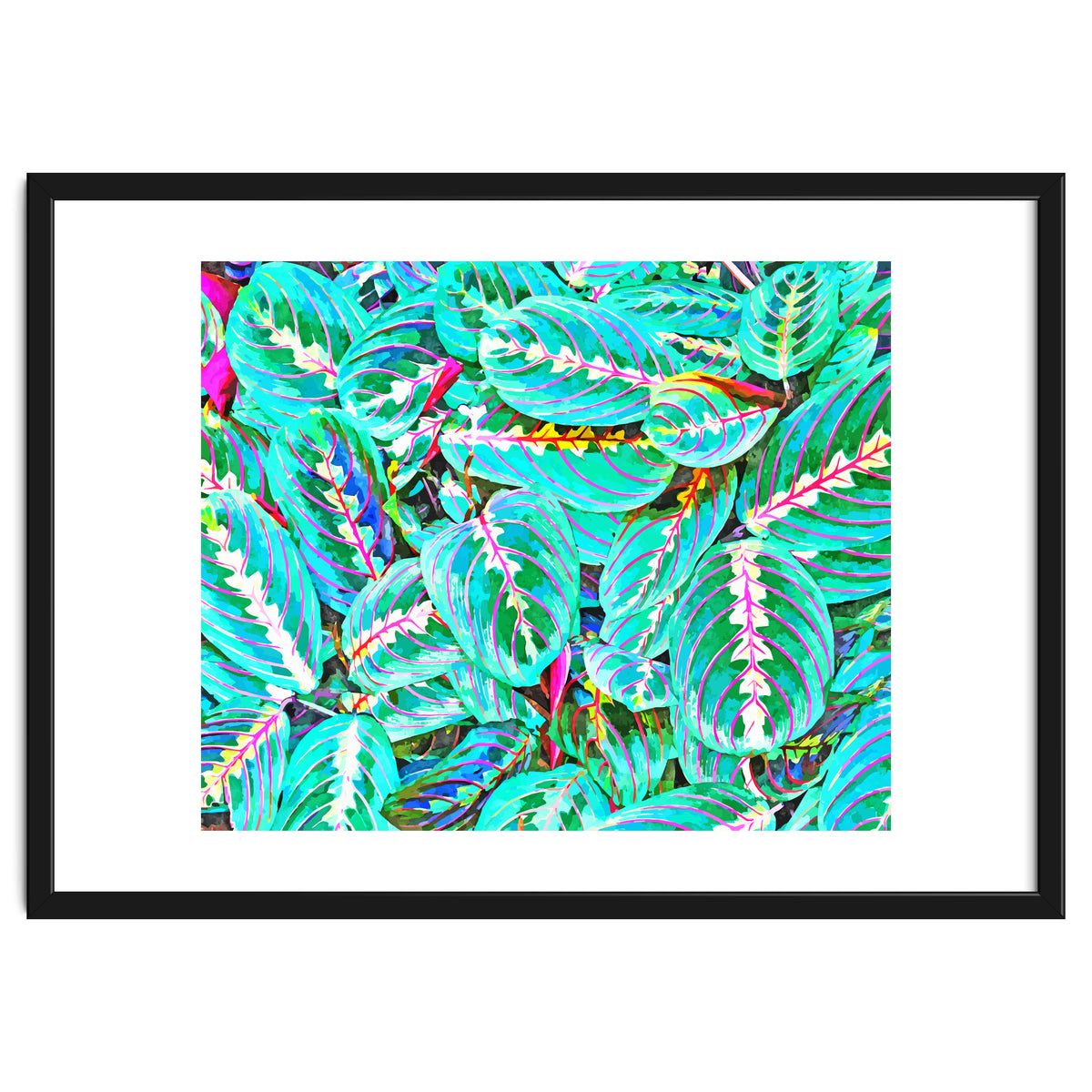 Let's find a beautiful place to get lost