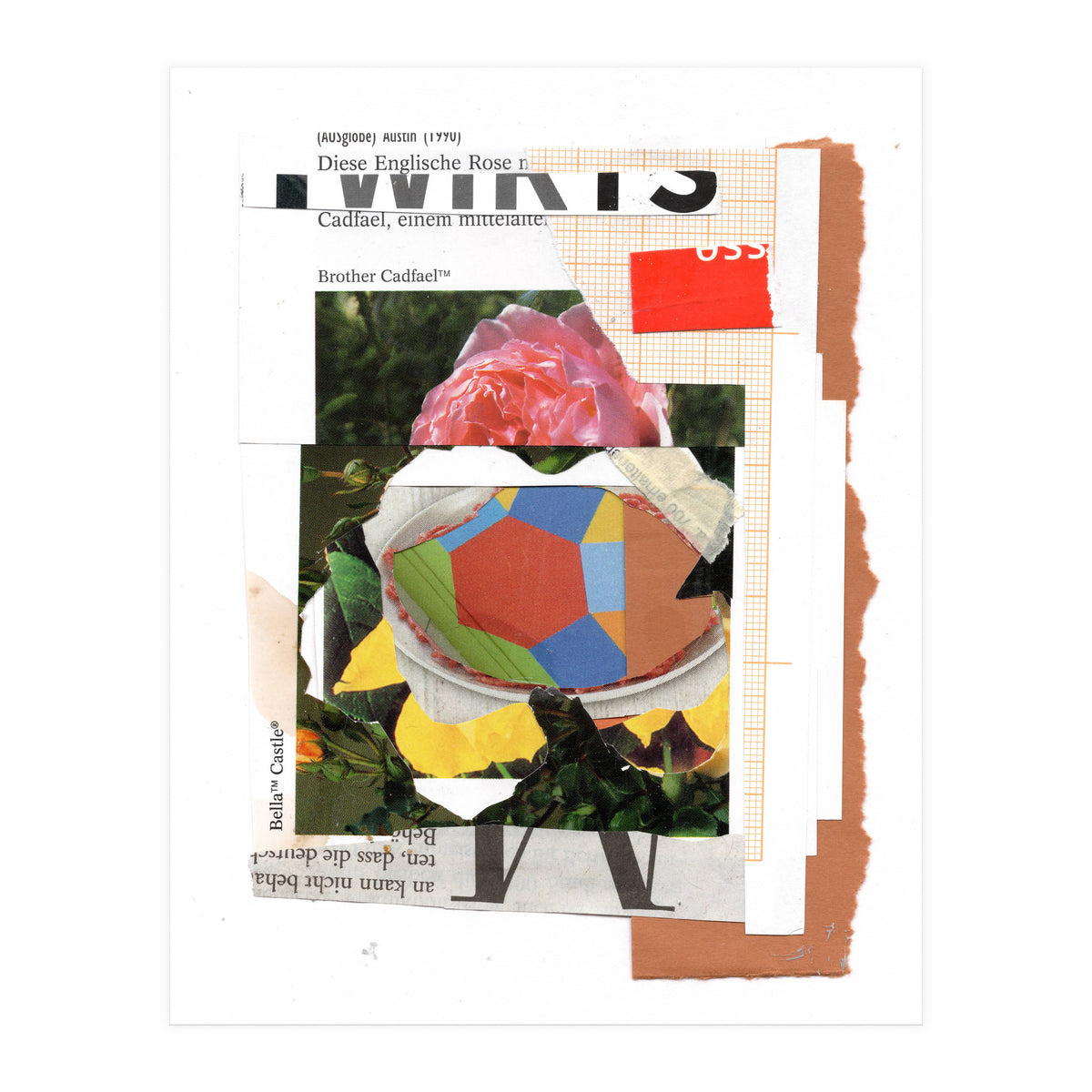 Abstract 1505 (Print Only)