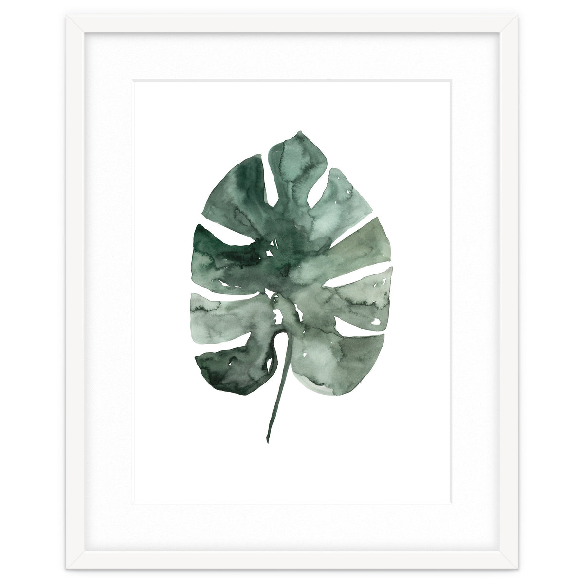 Botanical Illustration Monstera Leaf