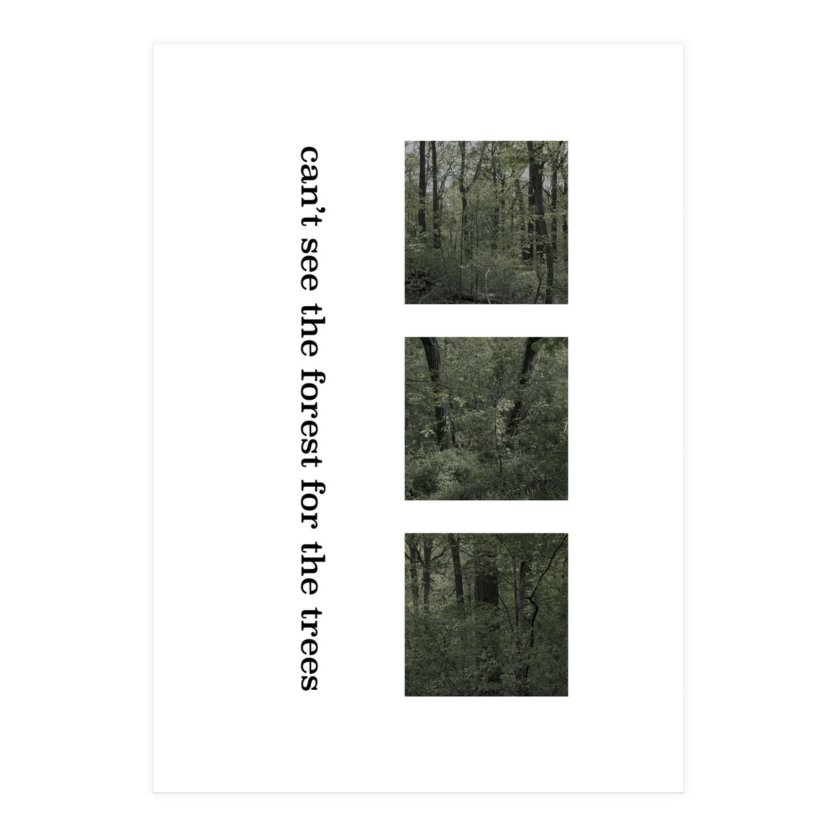 can’t see the forest for the trees (Print Only)