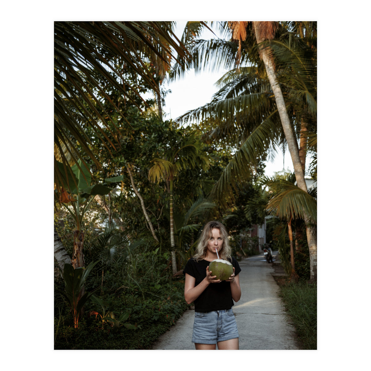 Vacation Postcard (Print Only)