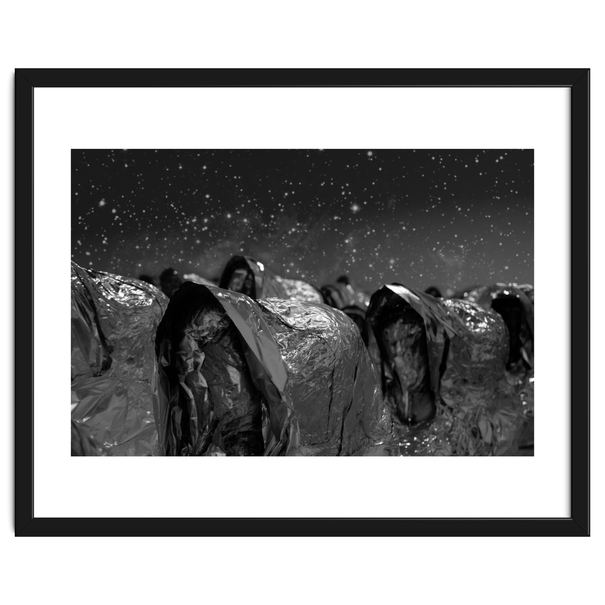 Fellini's Plastic Sea