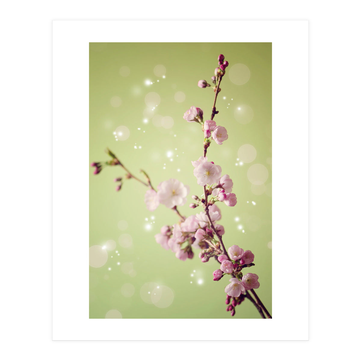 Springtime  (Print Only)