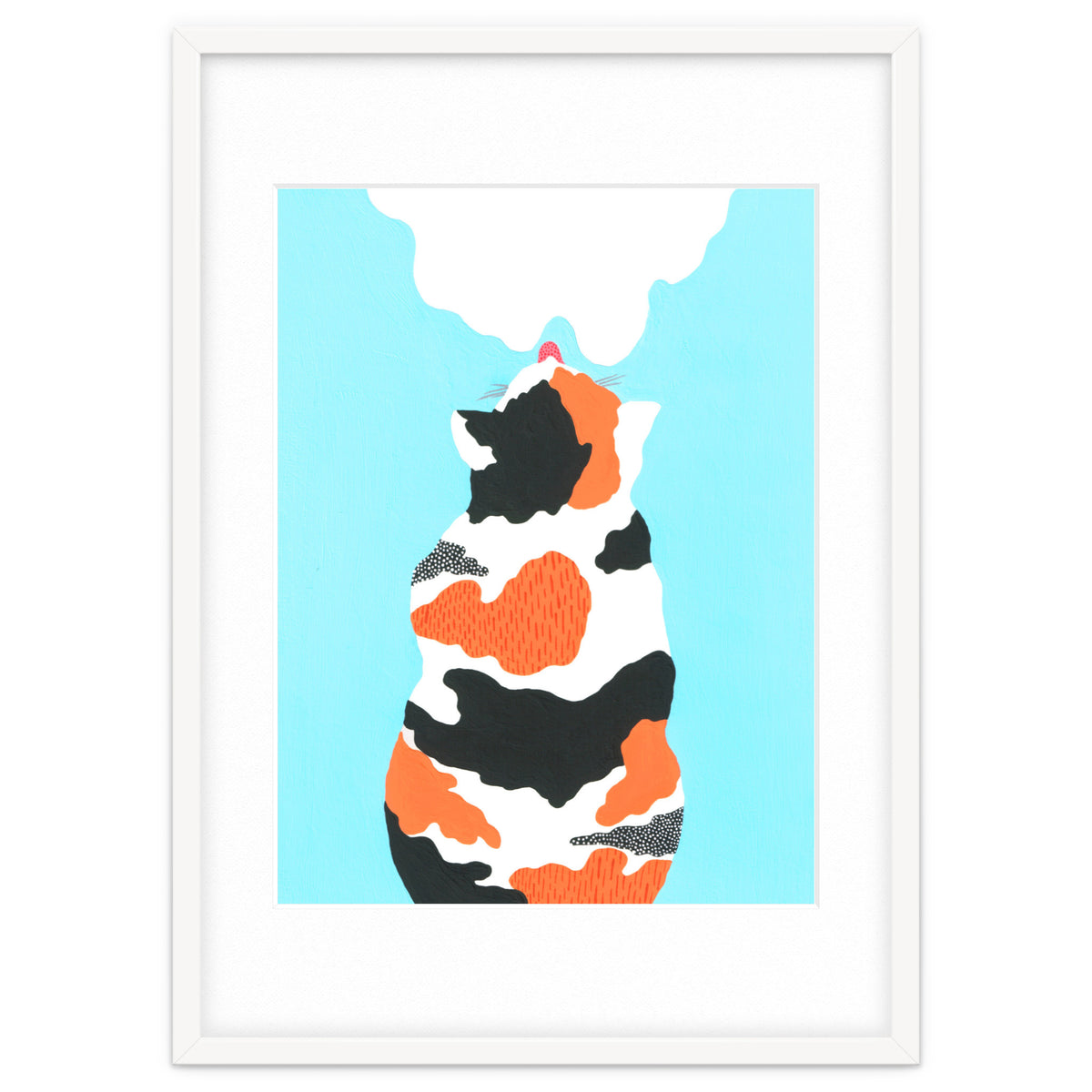 Tri Colored Calico Cat