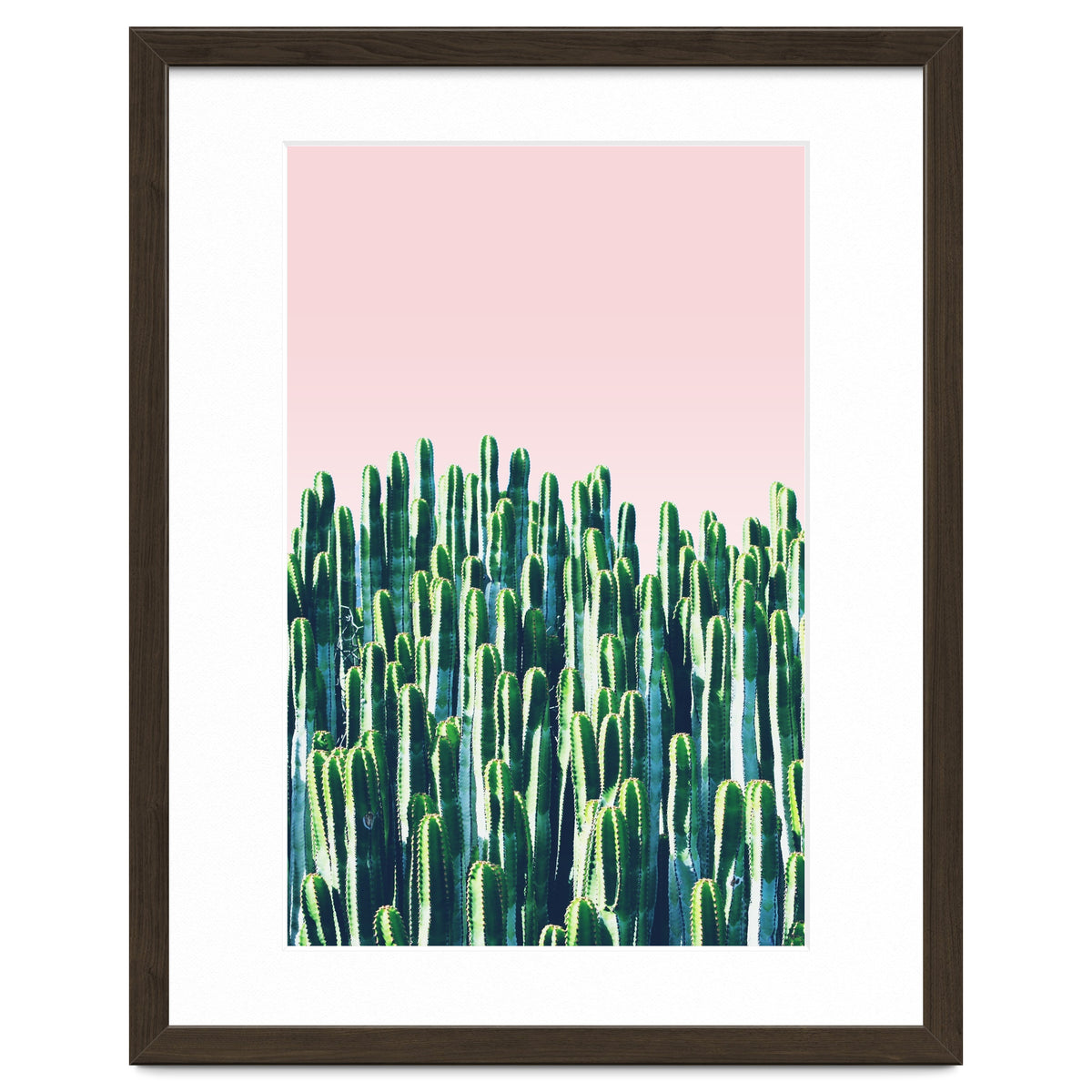 Cactus & Sunset II