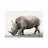 Rhino (Print Only) thumbnail