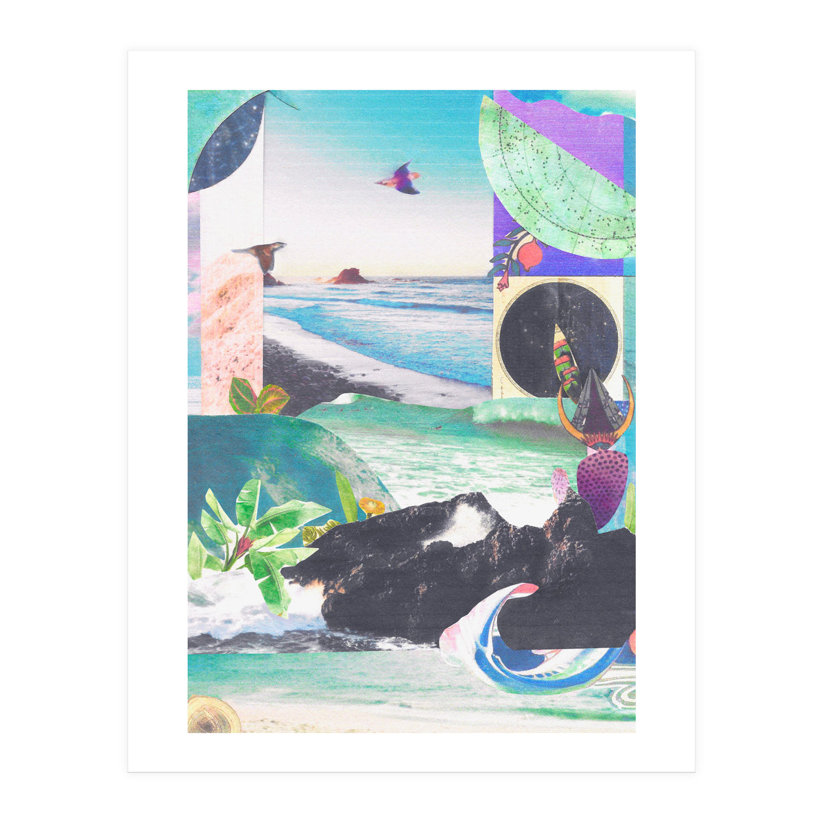 Beak Ruddy (Print Only)