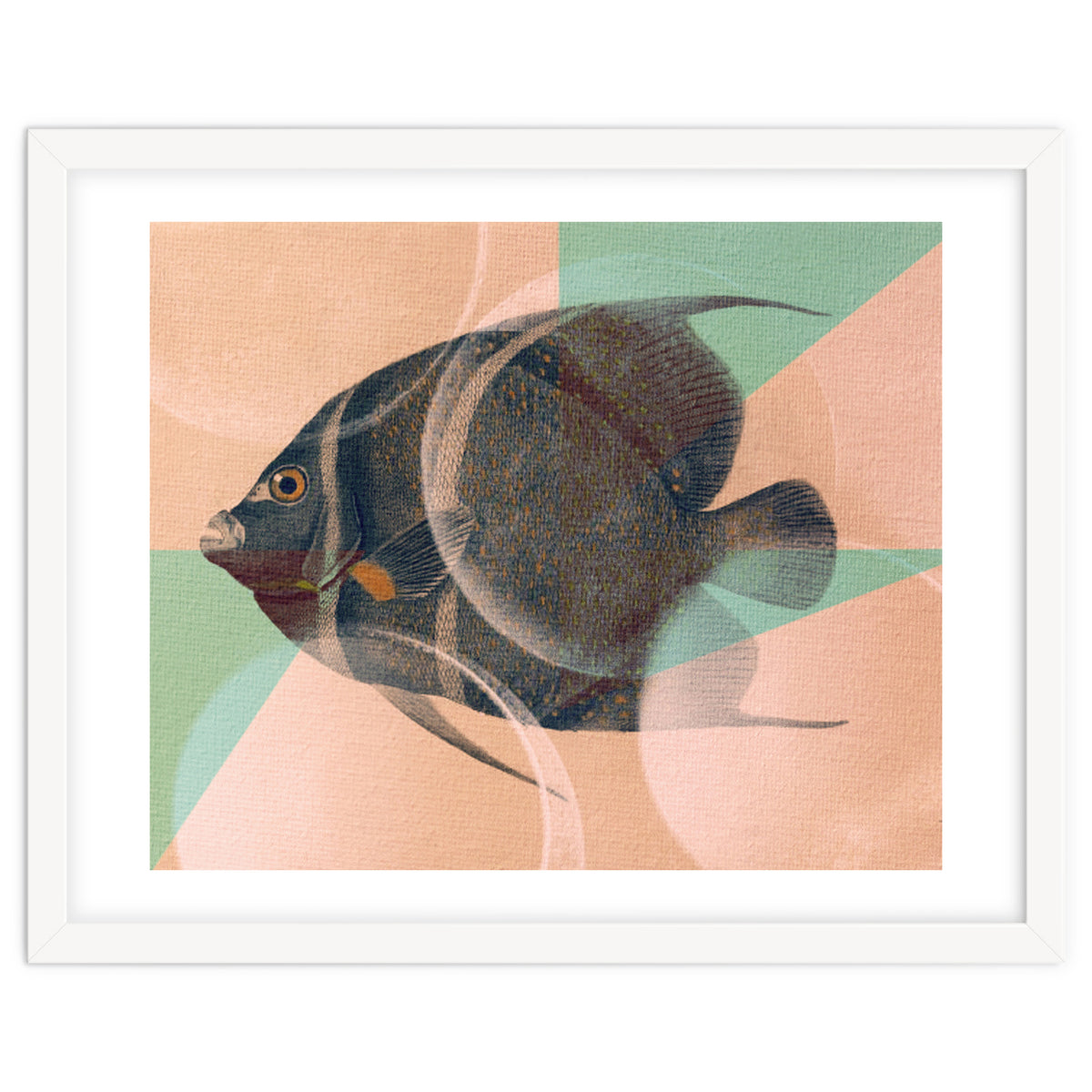Fish Between Circles 2