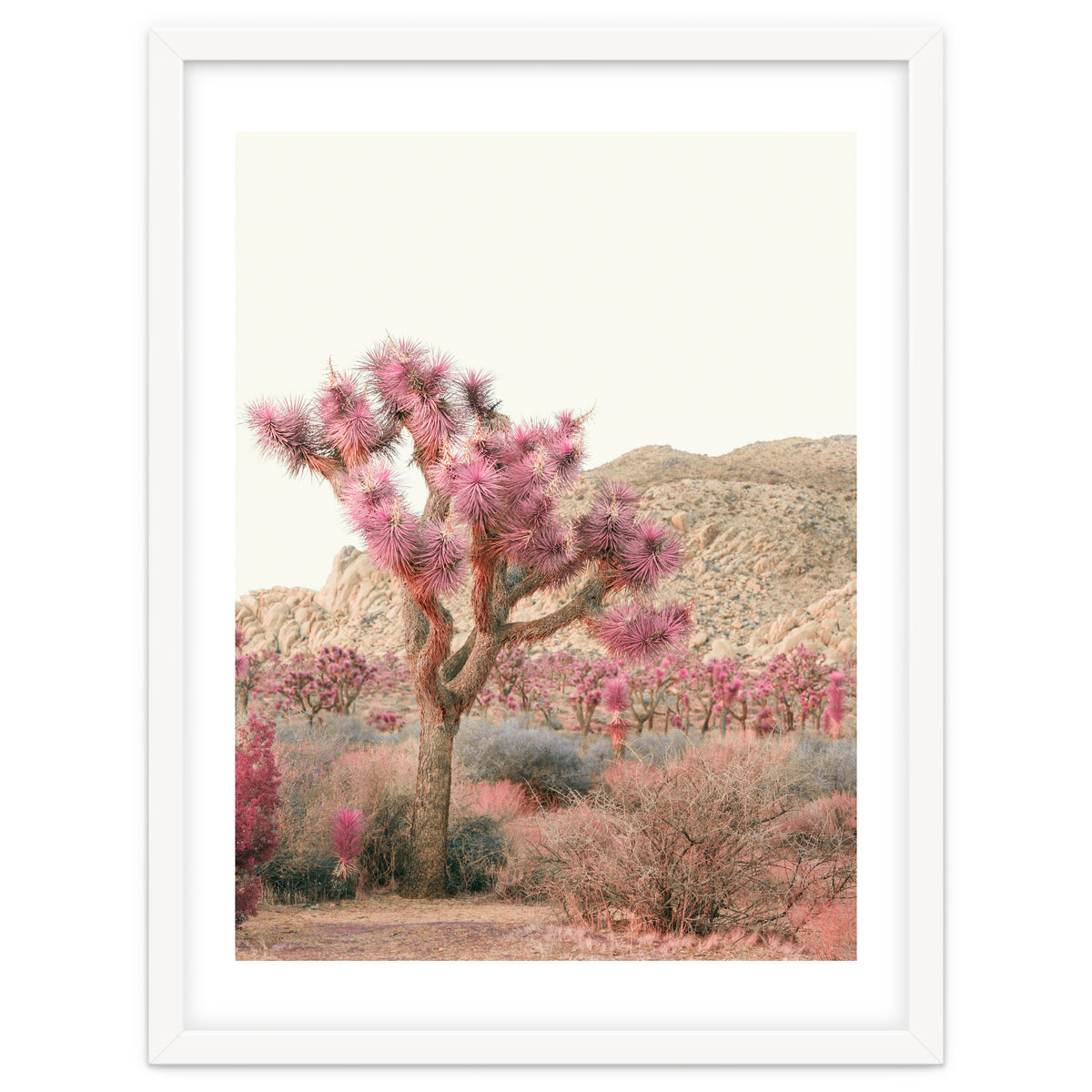 Boho Joshua Tree Cactus