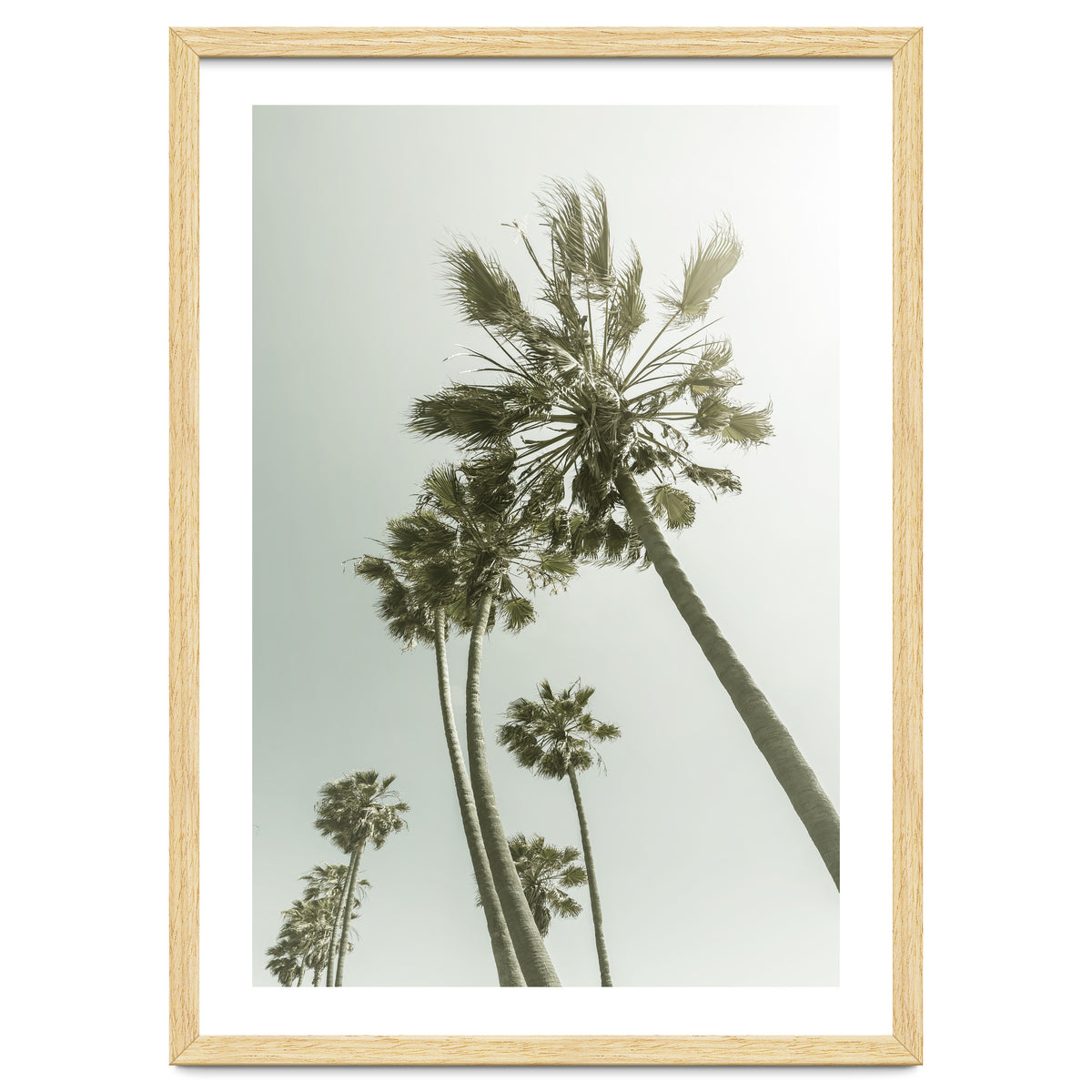 Vintage Palm Trees
