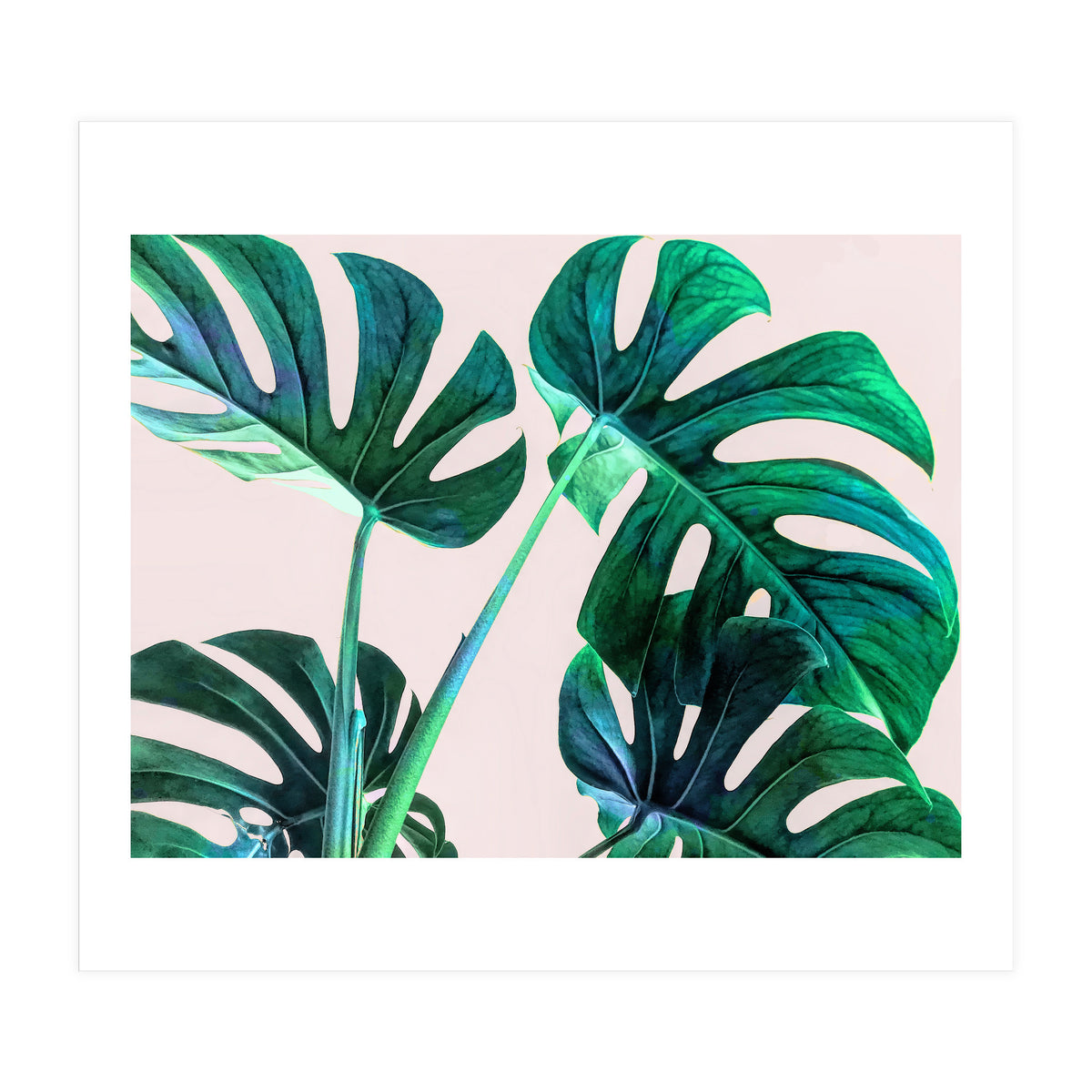 Wild Leaves (Print Only)