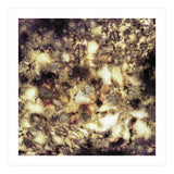 Demolition (Print Only) thumbnail