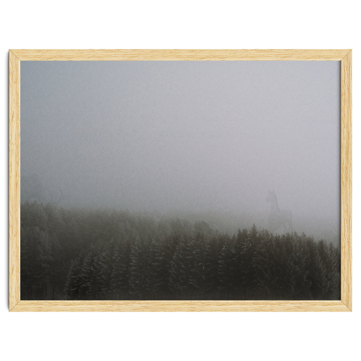 What the Hell did I just See?