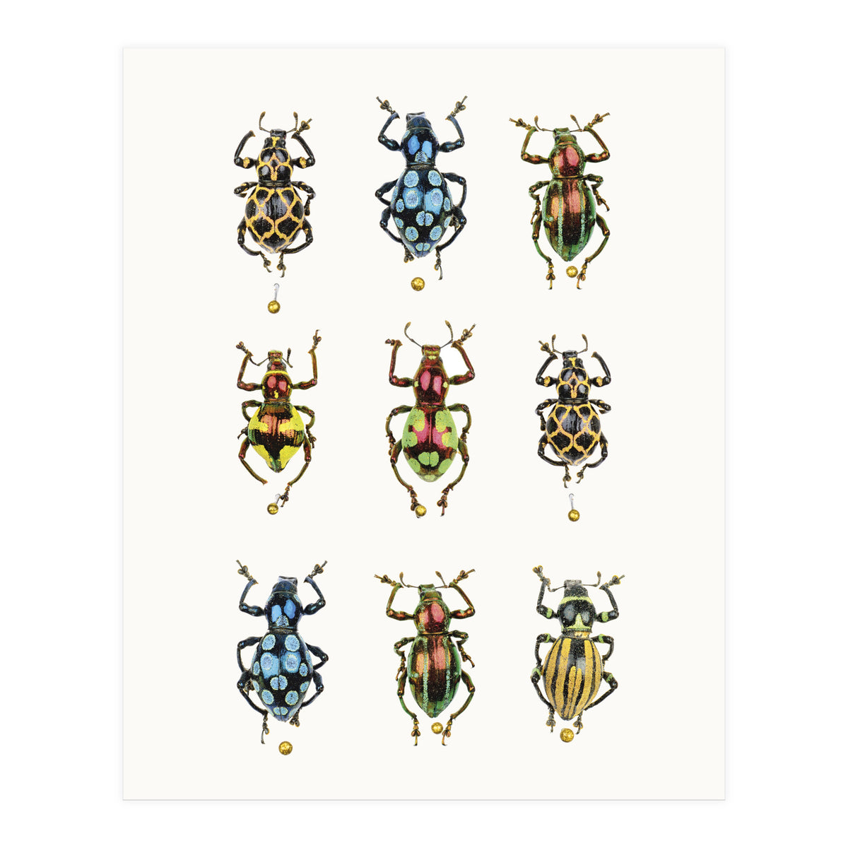 Cc Insects 05 (Print Only)