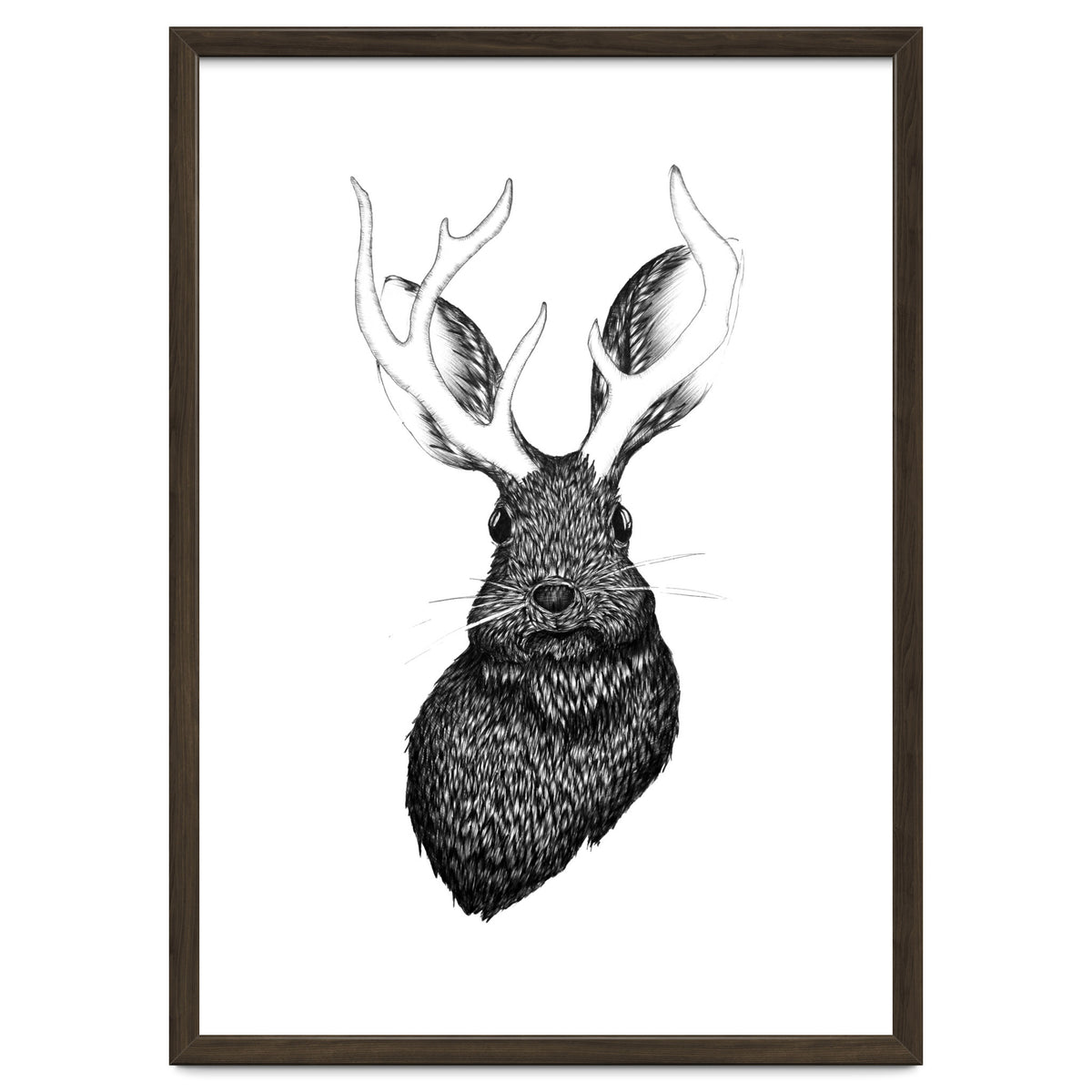 Jackalope