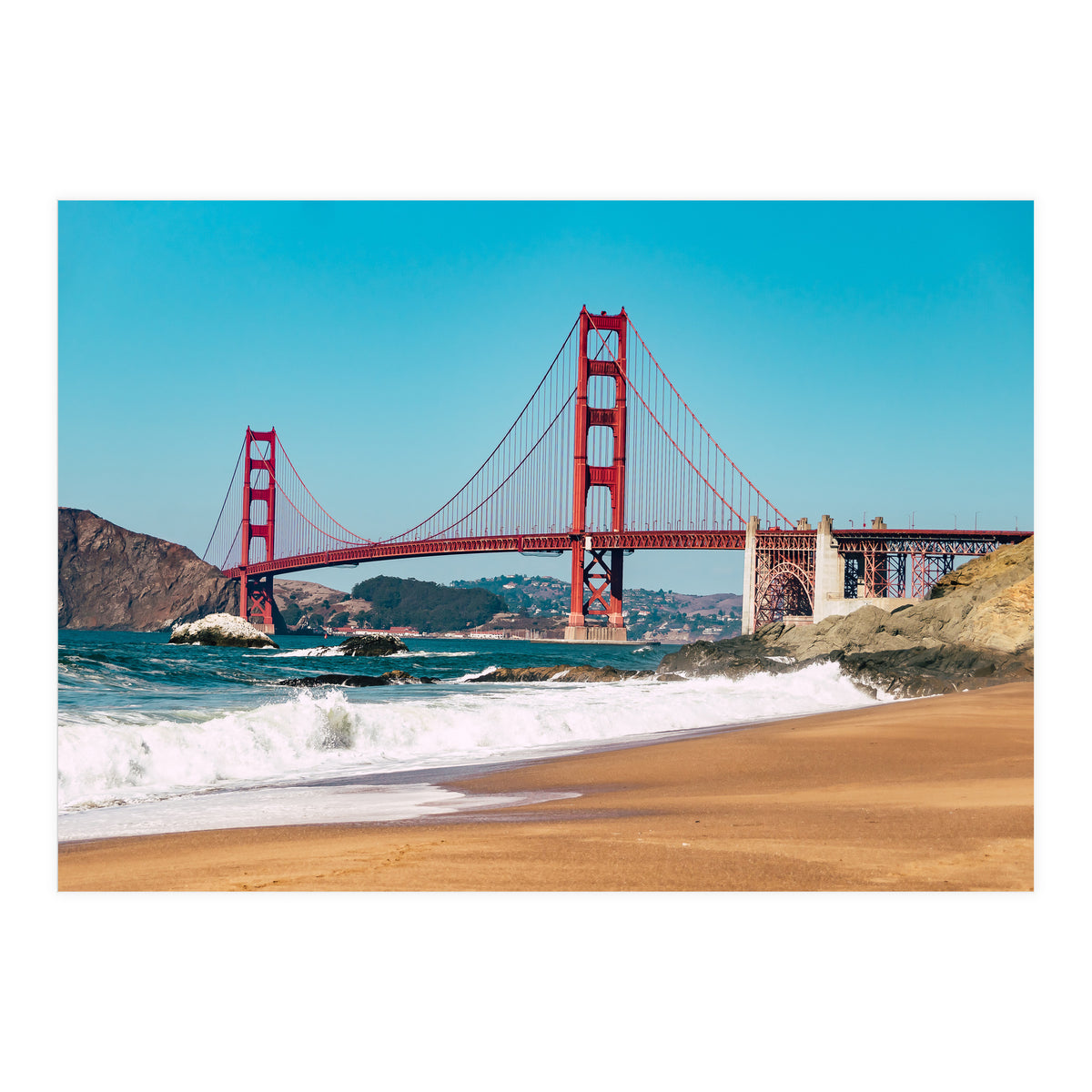 Amaranth (Print Only)