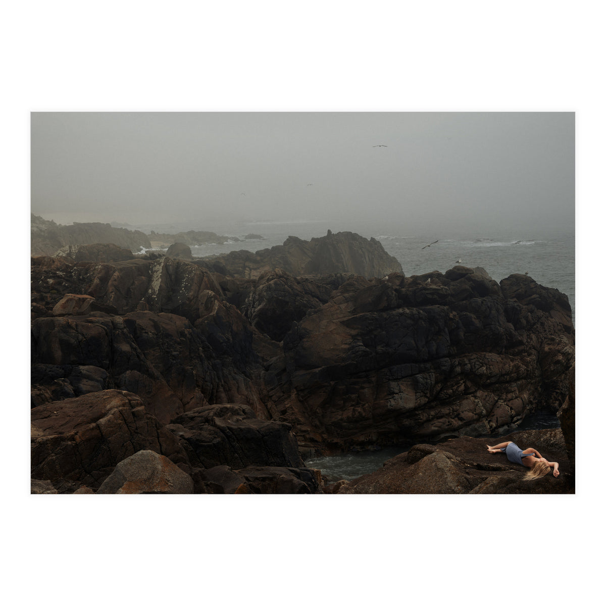 Seagull Bay (Print Only)