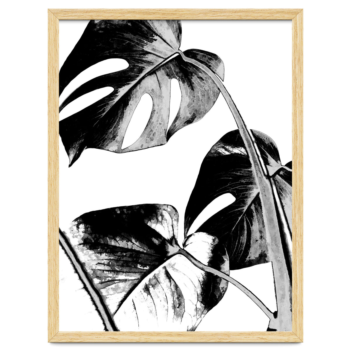 Black Tropical Leaves
