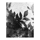 Leaves #1 (Print Only) thumbnail